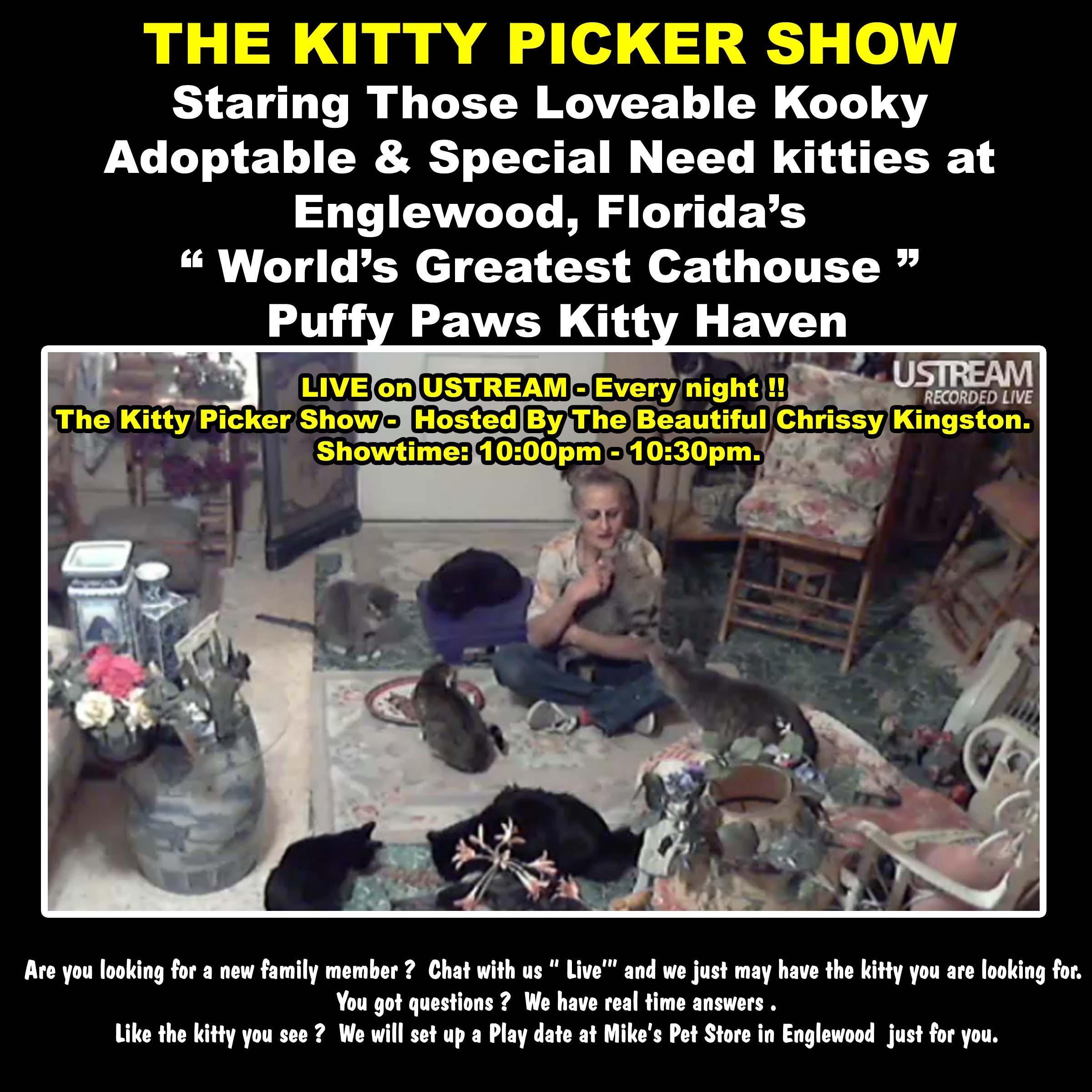 Jan07116174.tmp/kittypickerrdlow.JPG